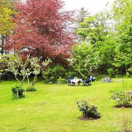 Charming Flat In Cosy Farmhouse Skudeneshavn Ngoại thất bức ảnh