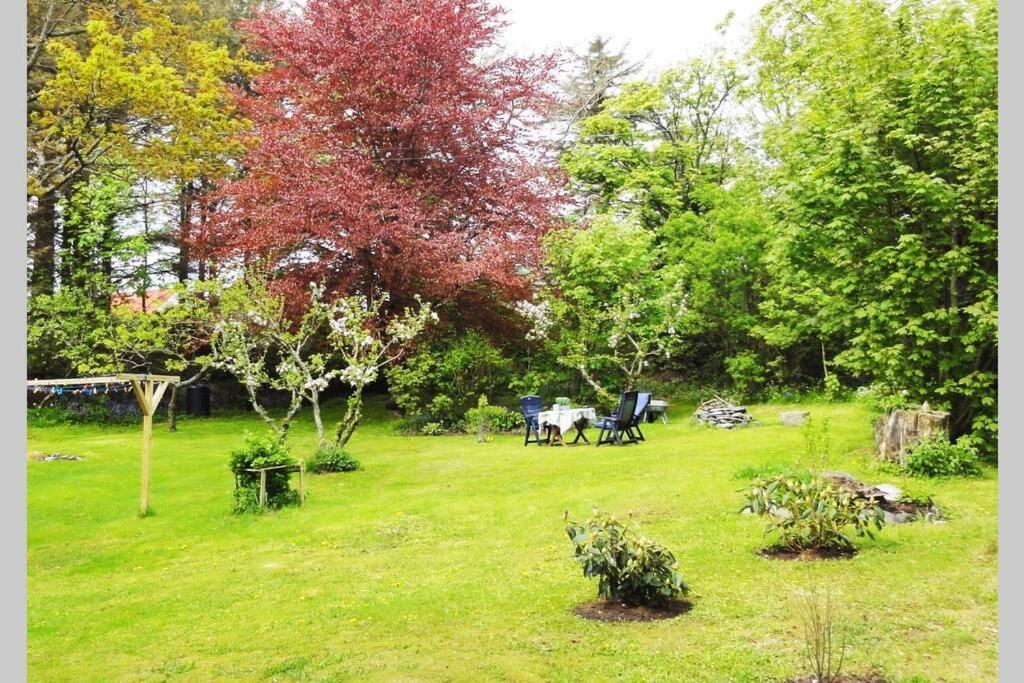 Charming Flat In Cosy Farmhouse Skudeneshavn Ngoại thất bức ảnh