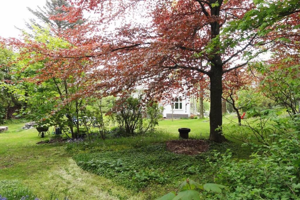 Charming Flat In Cosy Farmhouse Skudeneshavn Ngoại thất bức ảnh